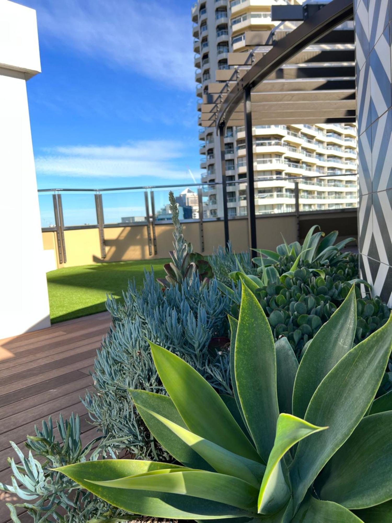 Sydney Hyde Park Private Apartments By Paxsafe Exterior foto